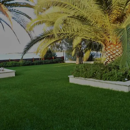Samaya House *