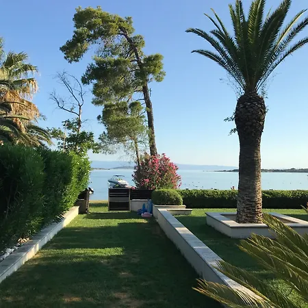 Samaya House Villa *